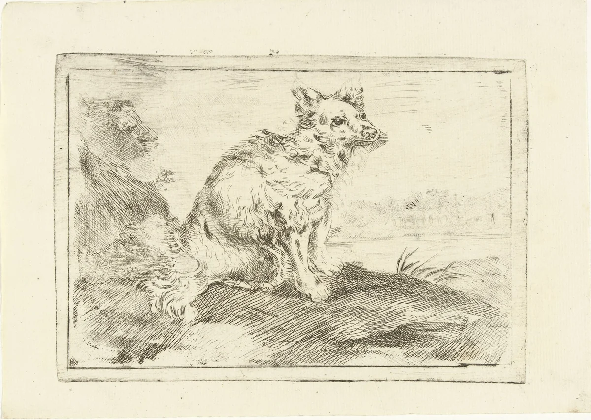 Hond met halsband met belletjes by G. van Citters, print, 1750-1800