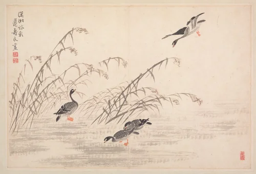 Album of Calligraphy and Paintings by Bian Shoumin, painting, 1700-1752