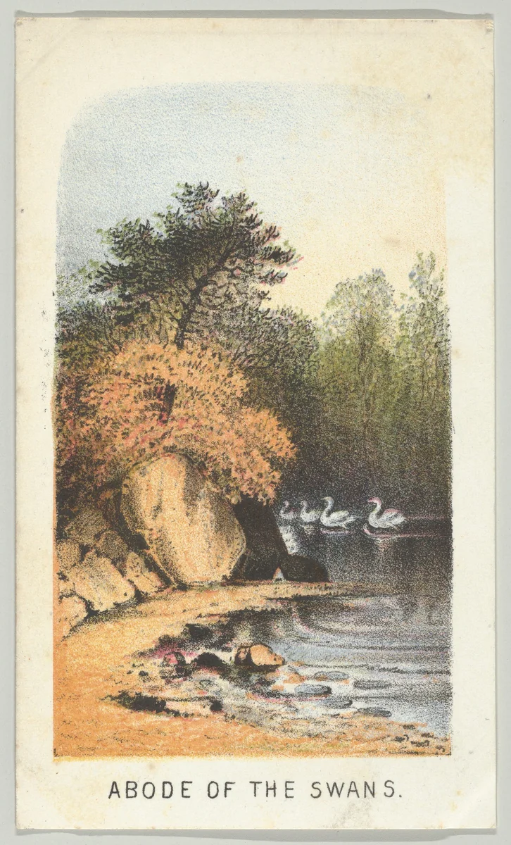 Abode of the Swans, from the series, Views in Central Park, New York, Part 2 by Louis Prang & Co., print, 1864