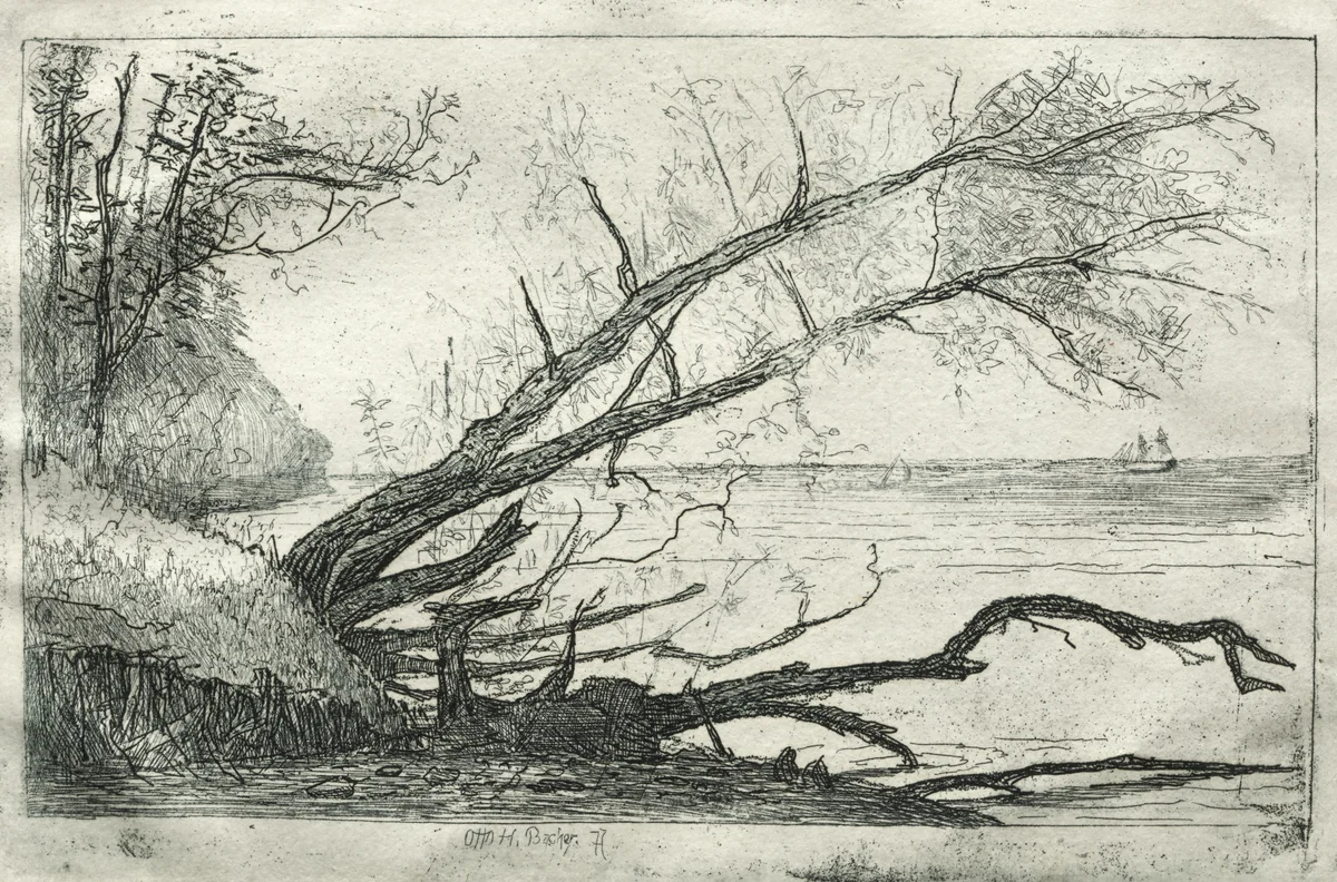 Old Sycamore by Otto H. Bacher, print, 1877
