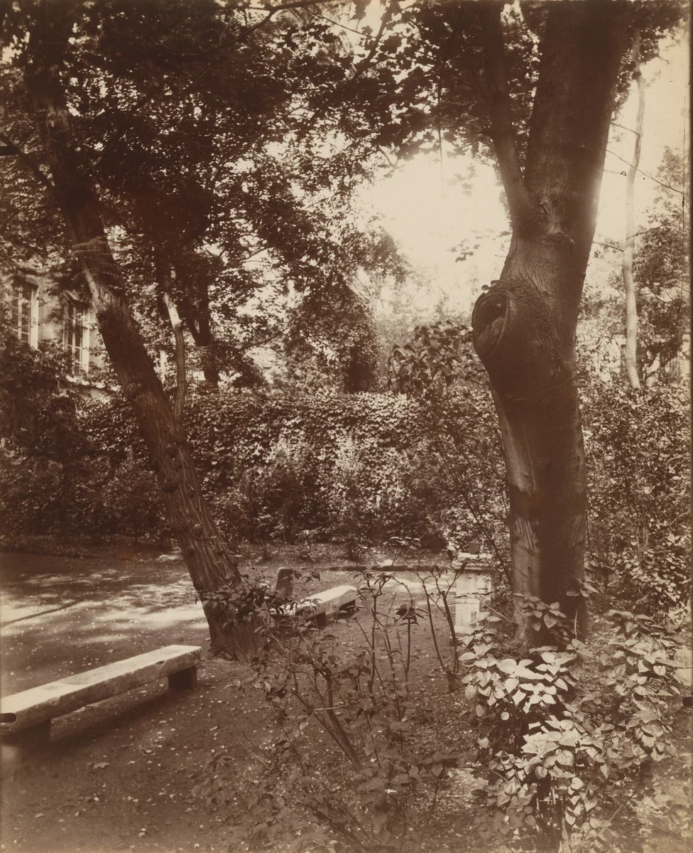 29 Rue Saint-Guillaume by Eugène Atget, photograph, 1922
