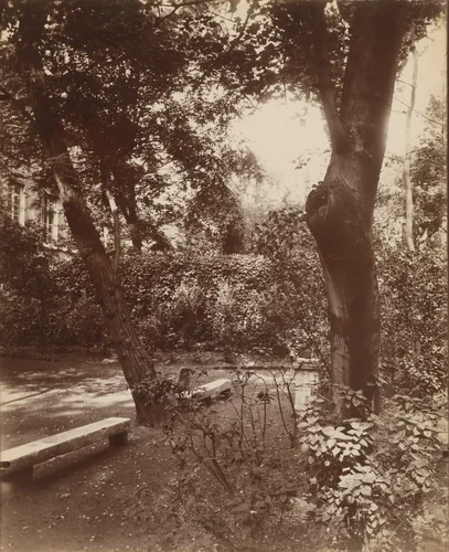 29 Rue Saint-Guillaume by Eugène Atget, photograph, 1922