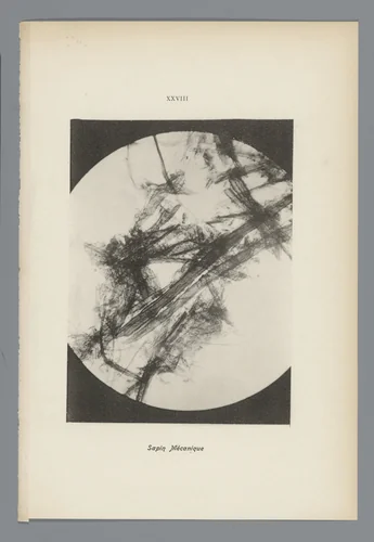 Microfoto’s van papiervezels by anonymous, photograph, 1900