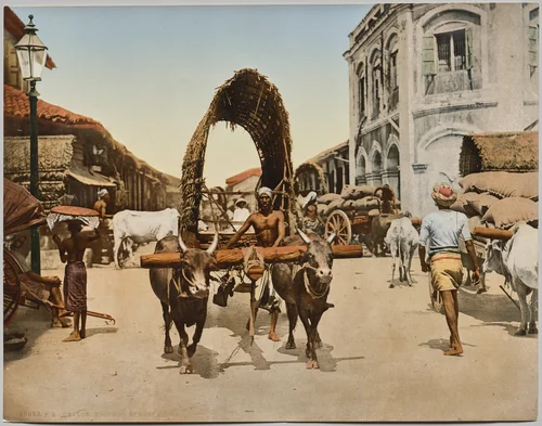 India. Ceylon. Colombo. Street Scene, after photo by Dr. Kurt Boeck by Photoglob Co., photograph, 1885-1915