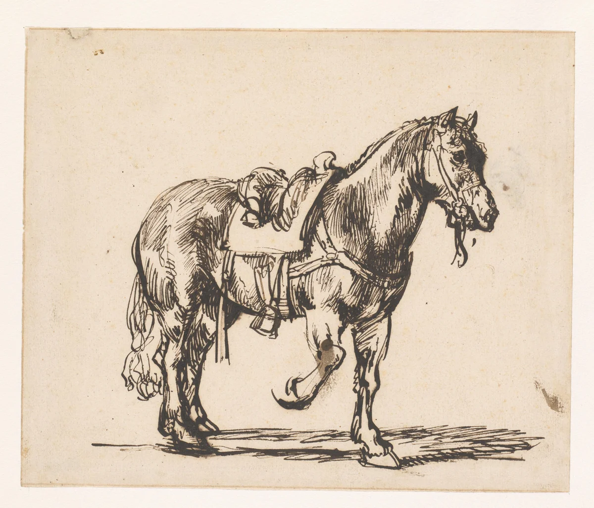 Paard van de Barmhartige Samaritaan by Govert Flinck, drawing, 1640-1643