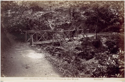 Colwyn Bay. Rustic Bridge in the Wood by Francis Bedford, photograph, 1870-1879