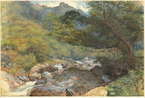 On the East Lyn, North Devon by William Henry Millais, drawing, 1860-1870