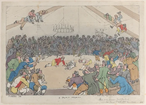 A Dog Fight by Thomas Rowlandson, print, 1811