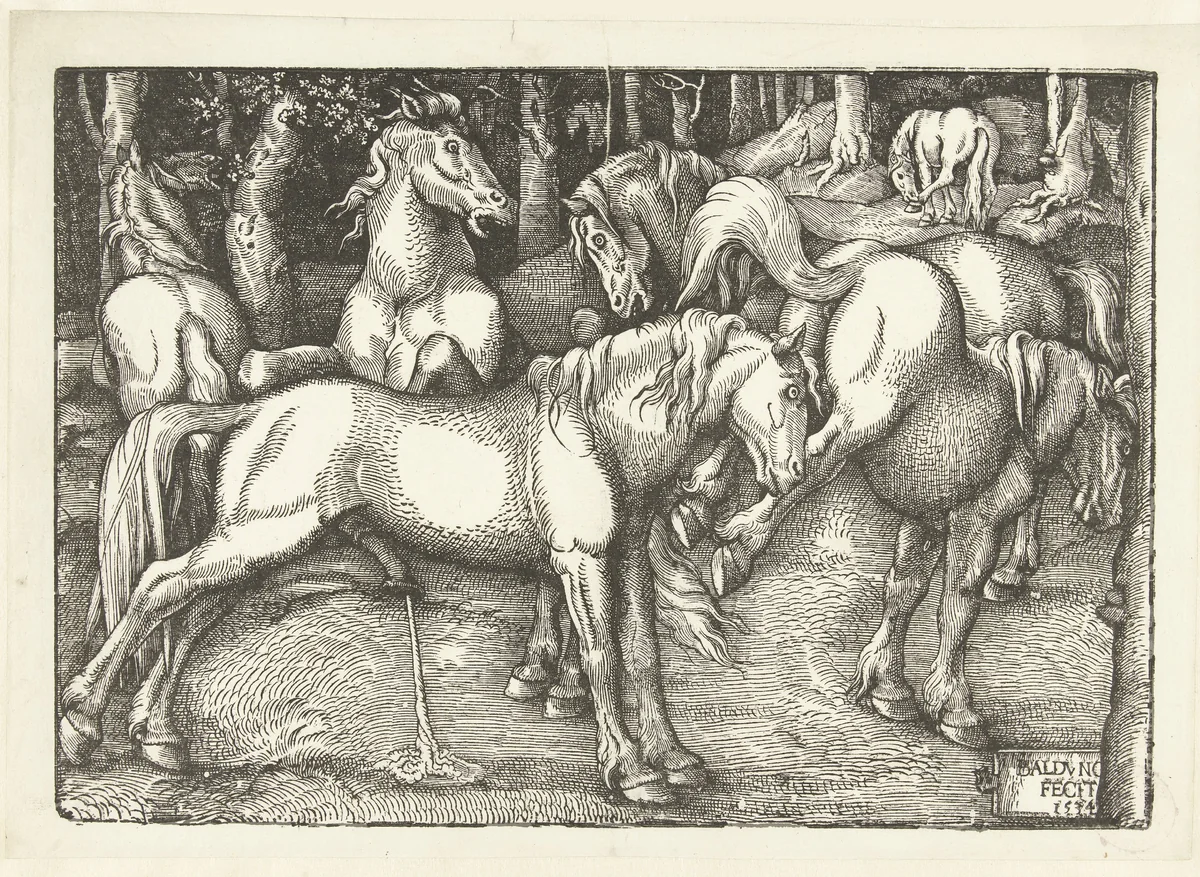 Groep van zes vechtende paarden by Unknown, print, 1534