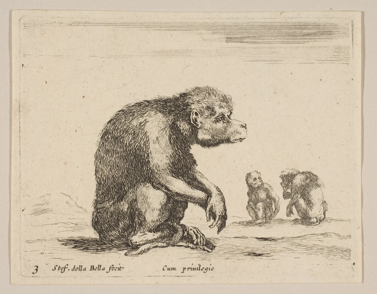 Plate 3: seated monkey, from "Various animals" (Diversi animali) by Stefano della Bella, print, 1636-1646