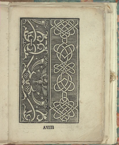 Opera Nova Universali intitulata Corona di racammi, page 9 (recto) by Giovanni Andrea Vavassore, book, 1530