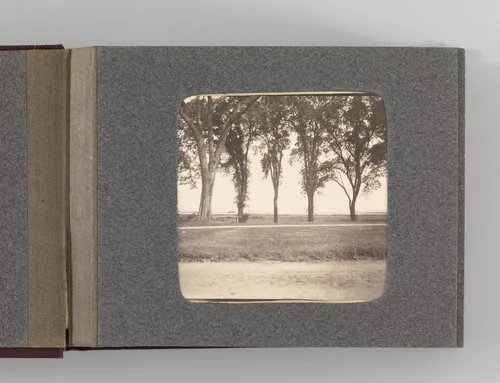 Untitled by Unidentified Photographer, photograph, 1900