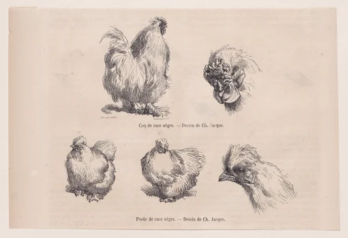 Silkie Cockerel and Silkie Hen, from "Le Magasin Pittoresque" by Charles Jacque, print, 1861