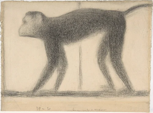 Monkey by Georges Seurat, drawing, 1884