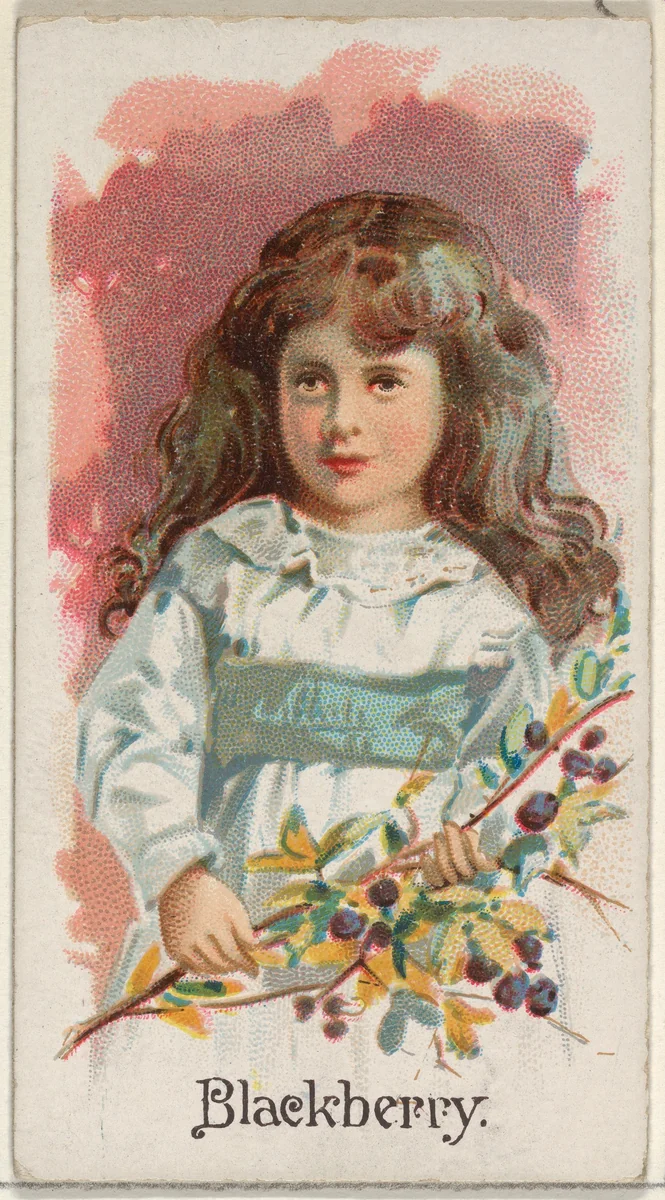 Blackberry, from the Fruits series (N12) for Allen & Ginter Cigarettes Brands by Allen & Ginter, print, 1891