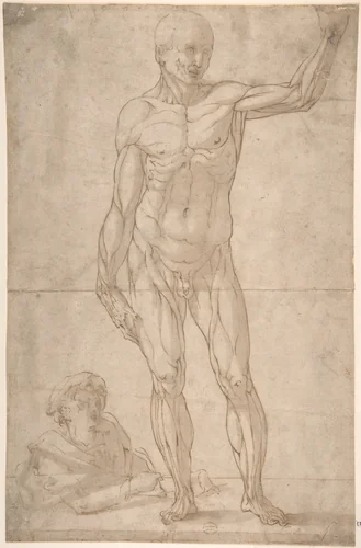 Study of Anatomy (A Youth Drawing an Ecorché of a Standing Man) by anonymous, drawing, 1550-1600