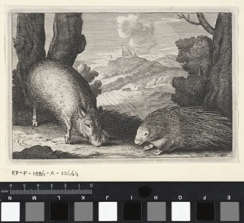 Landschap met wild zwijn en stekelvarken by anonymous, print, 1623-1705
