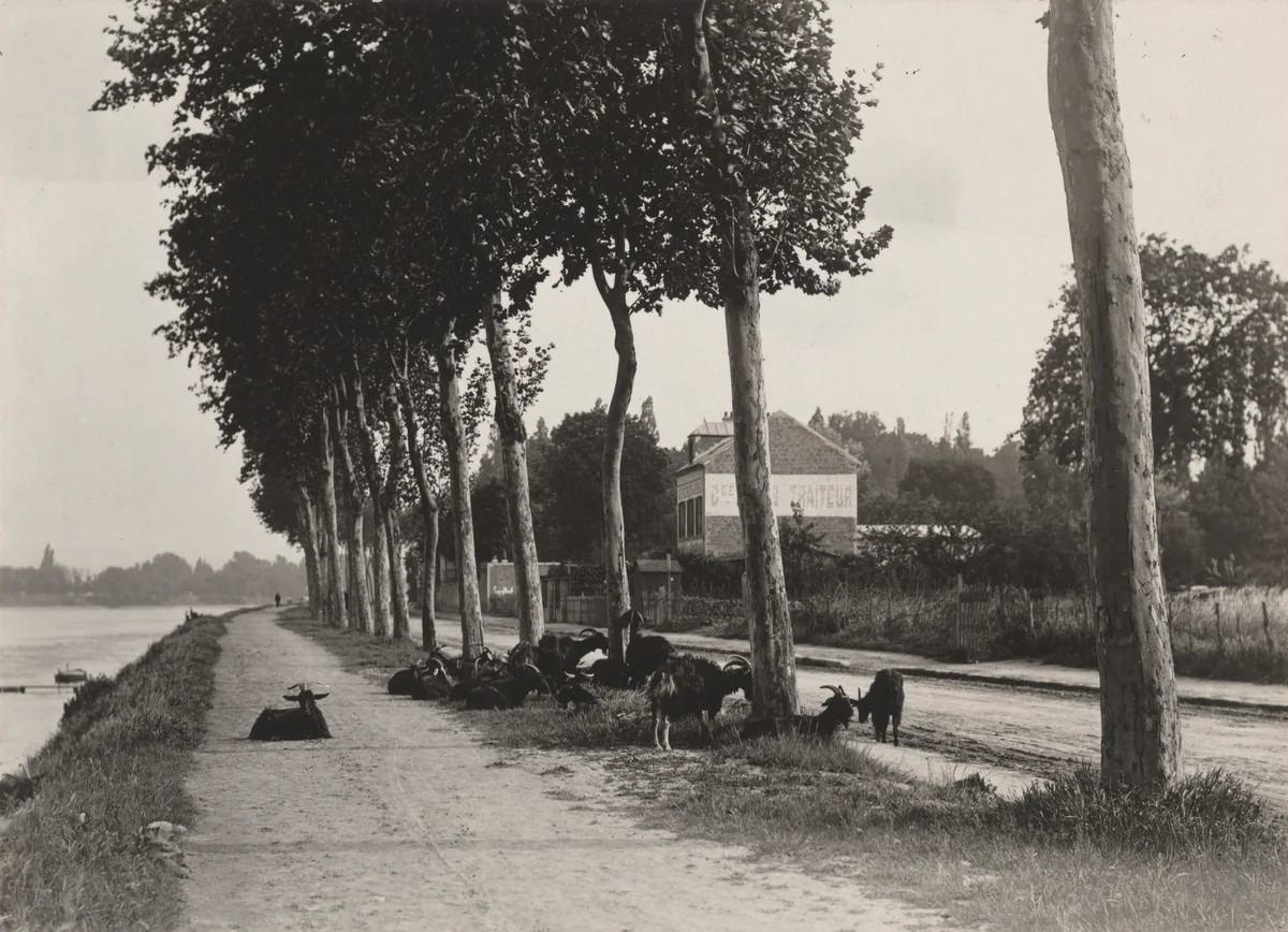 Homeward by Alfred Stieglitz, photograph, 1894