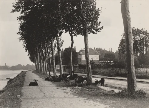 Homeward by Alfred Stieglitz, photograph, 1894