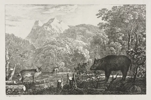 Wild Boar, Wildcat and Lynx by Maximilian Josef Wagenbauer, print, 1807
