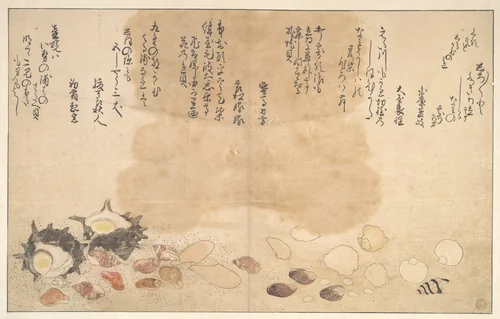 Shells under Water by Kitagawa Utamaro (喜多川歌麿), print, 1790