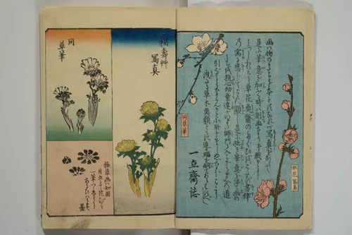 Picture Book for the Practice of Drawing (Ehon tebikigusa) 絵本手引草 by Utagawa Hiroshige (歌川広重), book, 1849