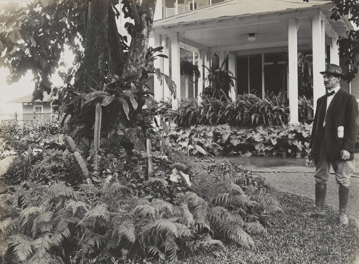 The Rockery on Lawn of Governor’s Residence of Balboa Heights, C.Z. by Unidentified Photographer, photograph, 1904