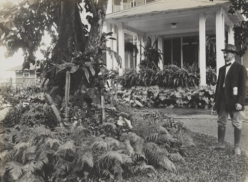 The Rockery on Lawn of Governor’s Residence of Balboa Heights, C.Z. by Unidentified Photographer, photograph, 1904