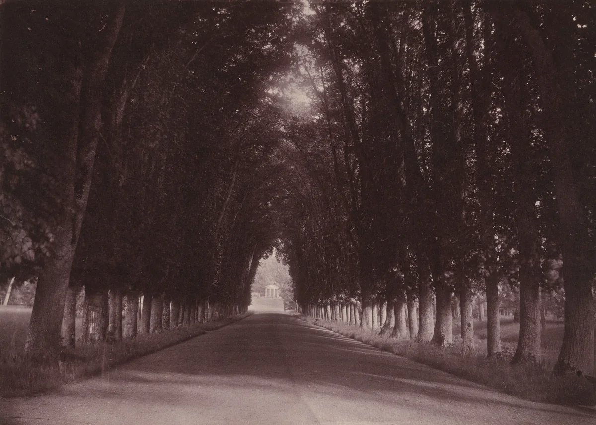 Allée, Château de Grand-Vaux, Savigny-sur-Orge, the Family Home of Vigier by Joseph Vigier, photograph, 1850-1860