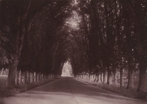 Allée, Château de Grand-Vaux, Savigny-sur-Orge, the Family Home of Vigier by Joseph Vigier, photograph, 1850-1860