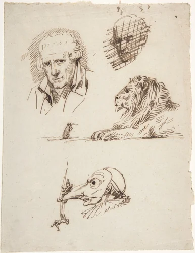 Sheet of Studies: Three Male Heads, a Lion and a Mouse by Pierre-Jean David d'Angers, drawing, 1800-1856