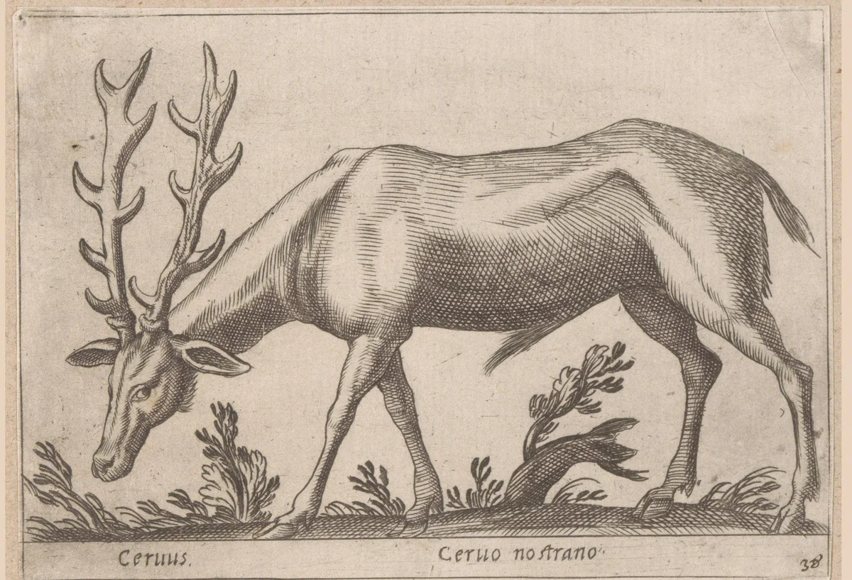 Hert by Antonio Tempesta, print, 1565-1630