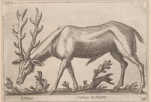 Hert by Antonio Tempesta, print, 1565-1630