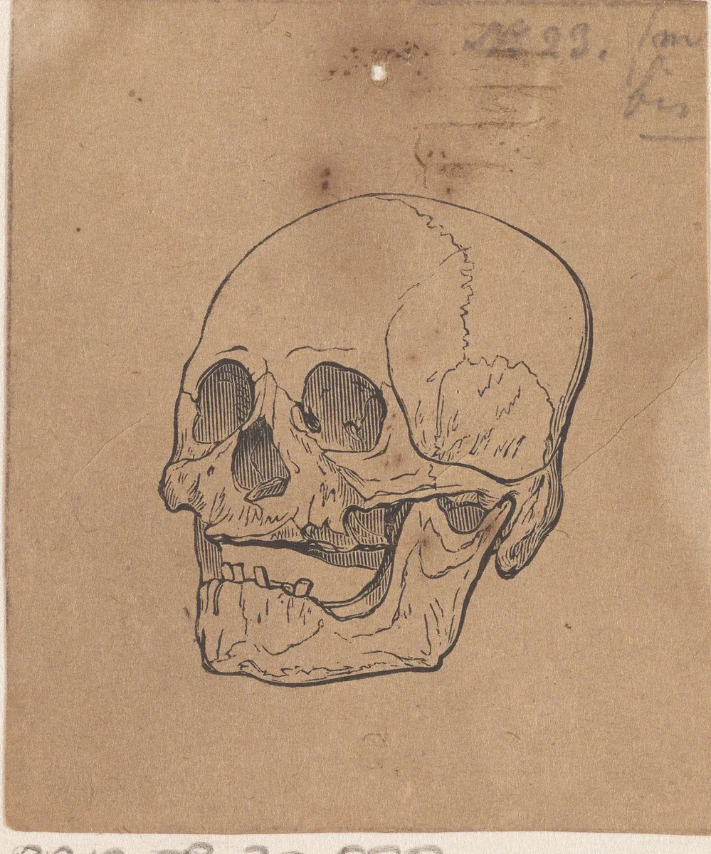 Menselijke schedel by Isaac Weissenbruch, print, 1836-1912