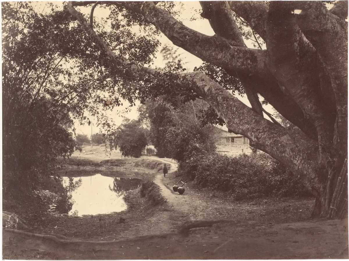 Village Road North River by John Thomson, photograph, 1869