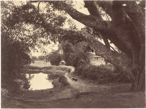 Village Road North River by John Thomson, photograph, 1869