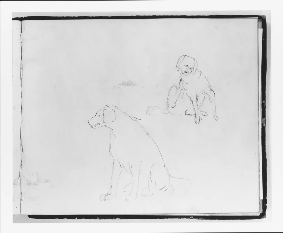 Two Studies of a Dog: Seated and Scratching (from Sketchbook) by Francis William Edmonds, artwork, 1835-1839