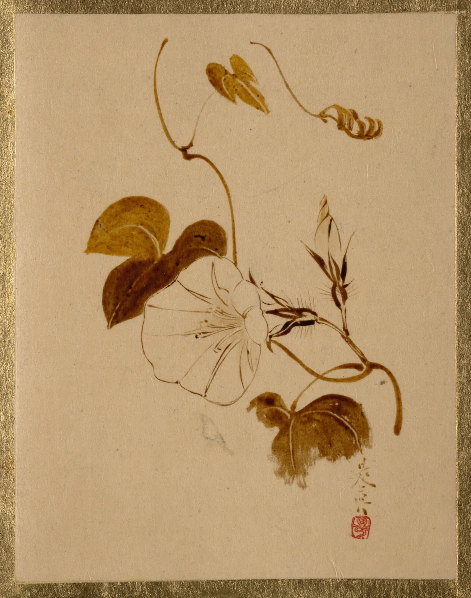 Morning Glory by Shibata Zeshin (柴田是真), painting, 1807-1868