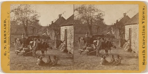 "Old South Carolina Plantation" by George N. Barnard, photograph, 1864-1874