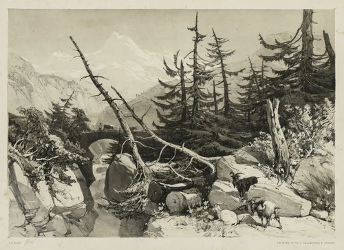 Pine Trees and Bridge by James Duffield Harding, print, 1841