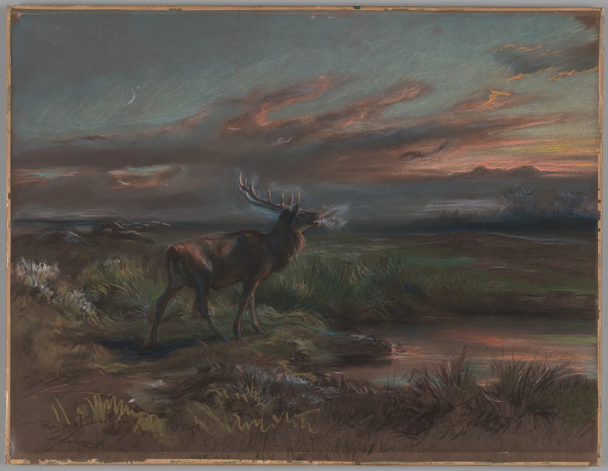 The Call of the Stag by Rosa Bonheur, drawing, 1890-1899