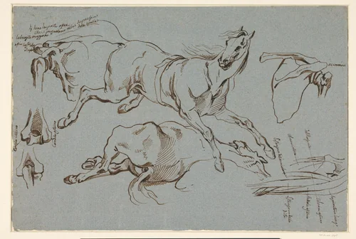 Schetsen van een springend en liggend paard en enkele anatomische details by Luigi Sabatelli, drawing, 1828-1899
