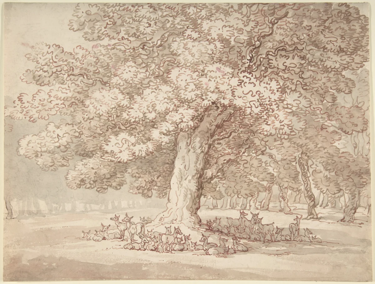 Herd of deer under an oak tree by Thomas Rowlandson, drawing, 1775-1827
