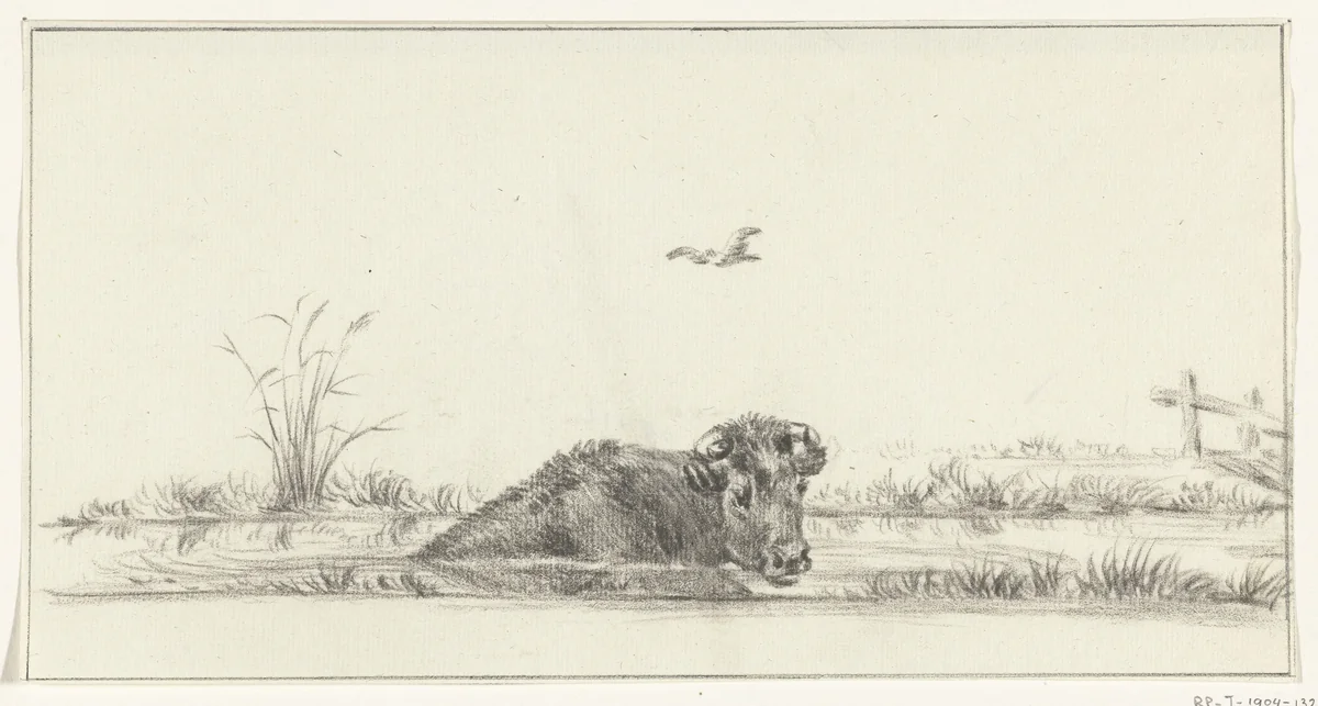 Koe in het water by Jean Bernard, drawing, 1775-1833