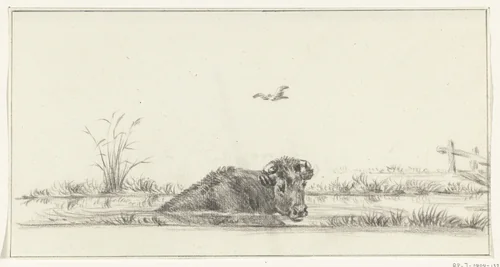 Koe in het water by Jean Bernard, drawing, 1775-1833