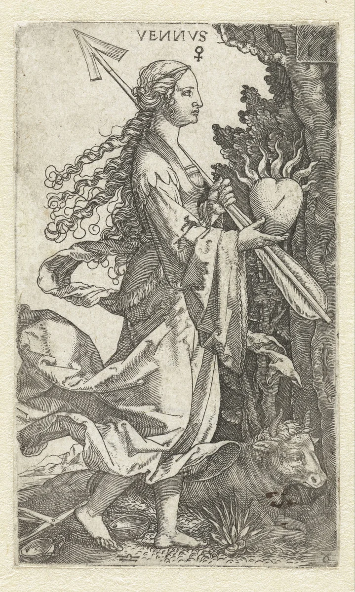 Venus by Unknown, print, 1528