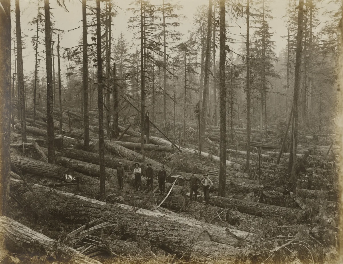 Untitled by Darius Kinsey, photograph, 1910