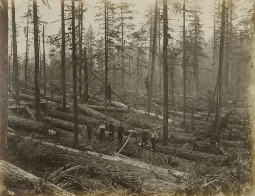Untitled by Darius Kinsey, photograph, 1910
