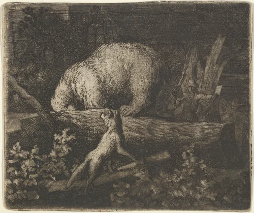 The Bear with His Snout and Forepaws Caught in the Trunk of a Tree from Hendrick van Alcmar's Renard The Fox by Allart van Everdingen, print, 1635-1675