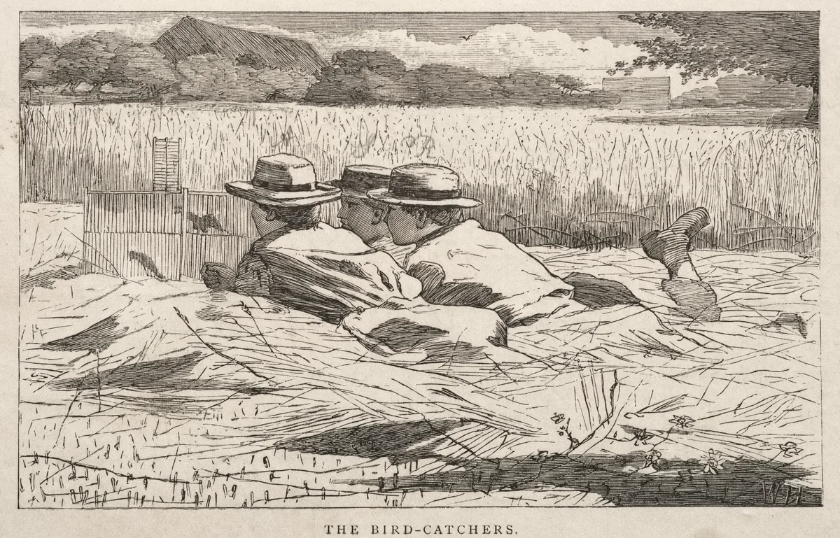 The Bird Catchers by Winslow Homer, print, 1867